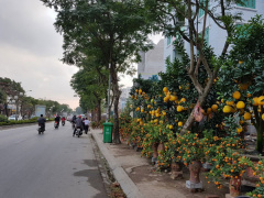 Ảnh bìa bài viết 515432
