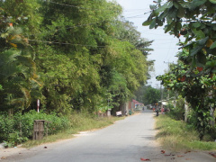 Ảnh bìa bài viết 515680