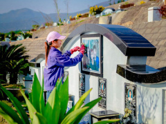 Ảnh bìa bài viết 515763