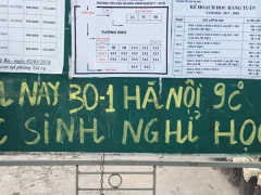 Ảnh bìa bài viết 515859