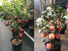 Ảnh bìa bài viết 515880