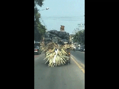 Ảnh bìa bài viết 515961