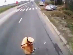 Ảnh bìa bài viết 515892