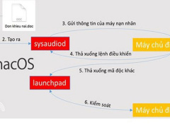 Ảnh bìa bài viết 516041