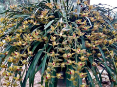 Ảnh bìa bài viết 516144