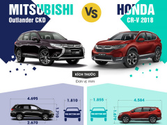 Ảnh bìa bài viết 516158