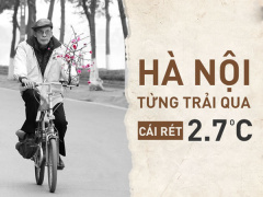 Ảnh bìa bài viết 516405