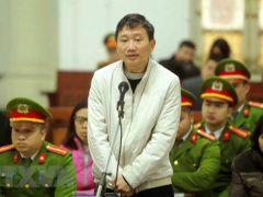 Ảnh bìa bài viết 516479