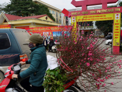 Ảnh bìa bài viết 516514