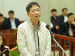 Ảnh bìa bài viết 516447