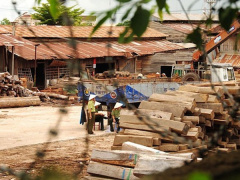 Ảnh bìa bài viết 517162