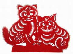 Ảnh bìa bài viết 516958