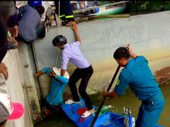 Ảnh bìa bài viết 517311
