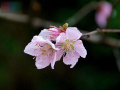 Ảnh bìa bài viết 517265