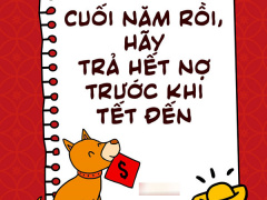 Ảnh bìa bài viết 517470