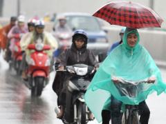 Ảnh bìa bài viết 517407