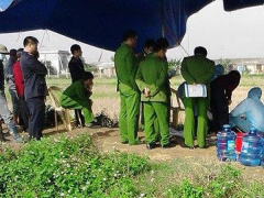 Ảnh bìa bài viết 517541