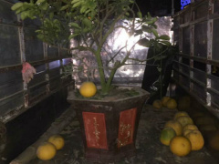 Ảnh bìa bài viết 517614
