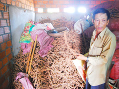 Ảnh bìa bài viết 517602