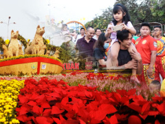 Ảnh bìa bài viết 517526