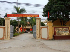 Ảnh bìa bài viết 517491