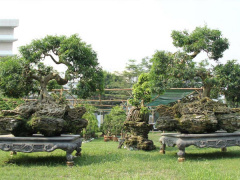 Ảnh bìa bài viết 517810