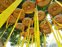 Ảnh bìa bài viết 517761