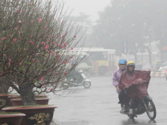 Ảnh bìa bài viết 517834