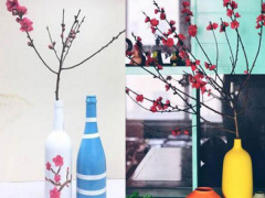 Ảnh bìa bài viết 518040