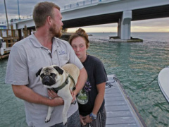 Ảnh bìa bài viết 518095