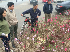 Ảnh bìa bài viết 518042