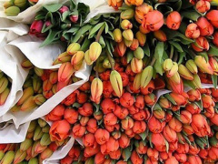 Ảnh bìa bài viết 518418