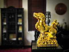 Ảnh bìa bài viết 518292