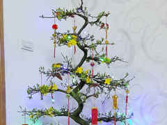 Ảnh bìa bài viết 518344