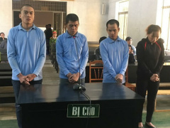 Ảnh bìa bài viết 518461