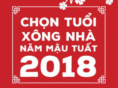Ảnh bìa bài viết 518555