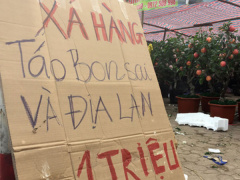 Ảnh bìa bài viết 518576