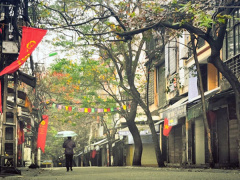 Ảnh bìa bài viết 518667