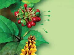 Ảnh bìa bài viết 518811
