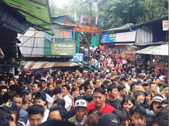 Ảnh bìa bài viết 519206