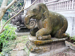 Ảnh bìa bài viết 519270