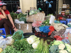 Ảnh bìa bài viết 519226