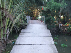Ảnh bìa bài viết 519603