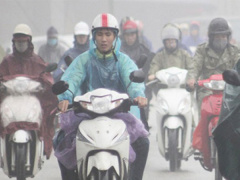 Ảnh bìa bài viết 519468