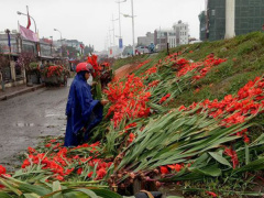 Ảnh bìa bài viết 519692