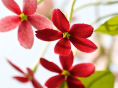 Ảnh bìa bài viết 519470