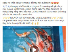 Ảnh bìa bài viết 519791