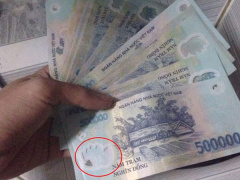 Ảnh bìa bài viết 520072