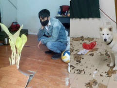 Ảnh bìa bài viết 520238