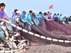 Ảnh bìa bài viết 520199